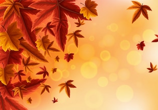 Autumn backgrounds