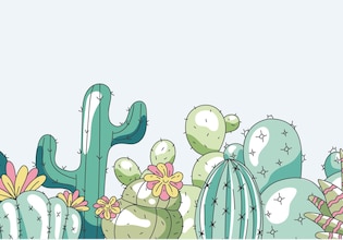 cactus illustrations