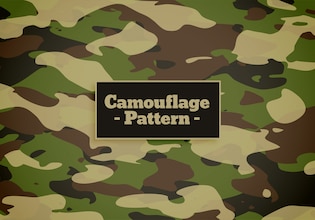 camouflage patterns