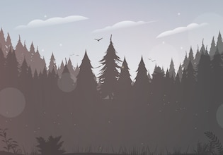 forest backgrounds