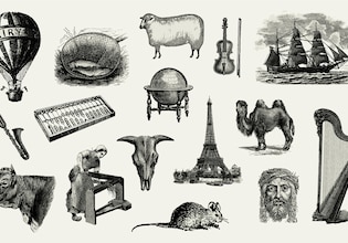 black and white illustrations