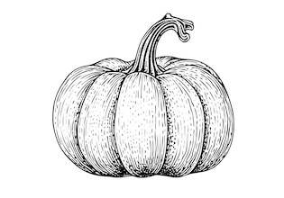 pumpkin drawings