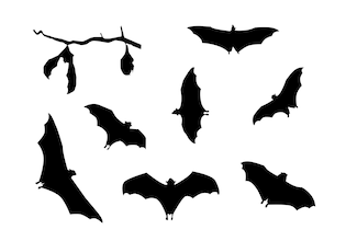 bat silhouettes